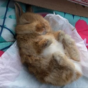 Meet your Posher, Kimberly